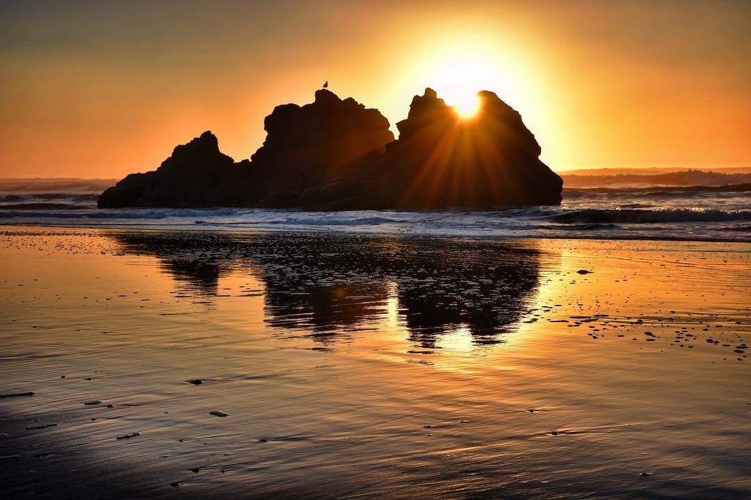 Sunset over a rocky coastline with a bird on a silhouette rock and sun rays reflecting on wet sand.